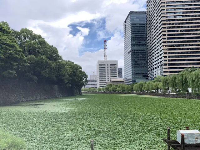 the Imperial Palace East Gardens the Imperial Palace East Gardens
