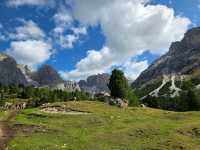 Ammergau Alps