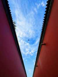 Forbidden Red Walls✨