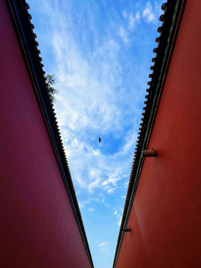 Forbidden Red Walls✨ Forbidden Red Walls✨