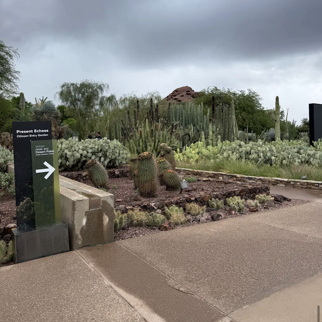 Desert Botanical Garden