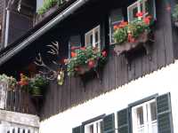 A Dreamy Autumn UNESCO Escape in Hallstatt 🍁🏞️  