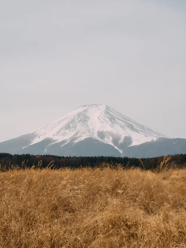 一生必去一次的地方