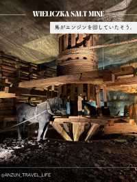 【ポーランド】クラクフから行ける世界遺産、ヴィエリチカ岩塩坑