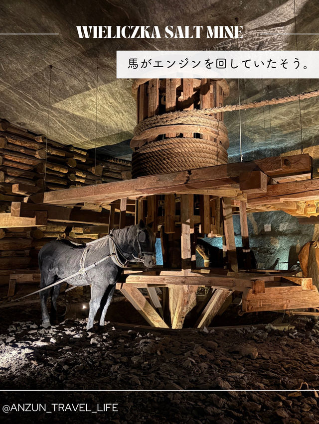 【ポーランド】クラクフから行ける世界遺産、ヴィエリチカ岩塩坑