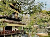 Your Solo Stroll Through Imperial Spring 