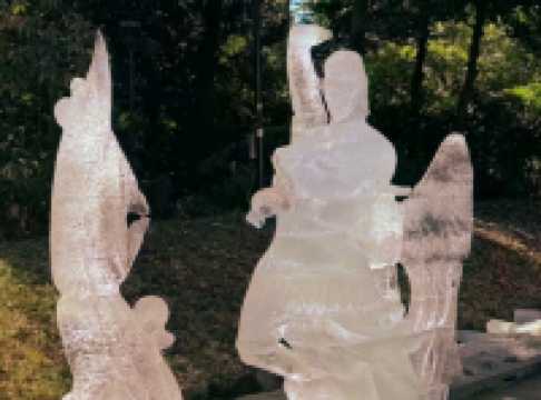 A Peaceful Escape in the Heart of Tokyo — Meiji Jingu Shrine