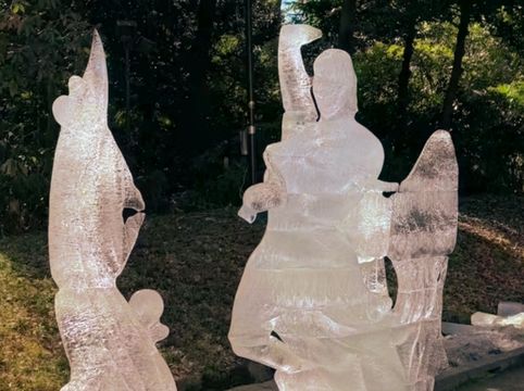 A Peaceful Escape in the Heart of Tokyo — Meiji Jingu Shrine