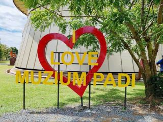 벼 박물관 여행: 문화와 자연의 만남