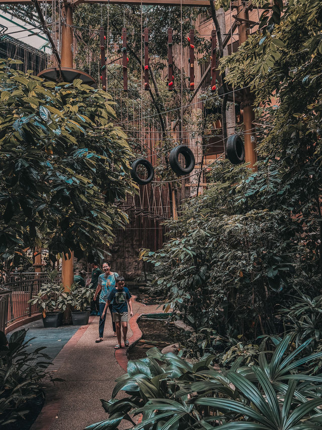 A Heartwarming Encounter with Nature – Feed the Fish @ 1 Utama Wildlife Conservation Efforts A Heartwarming Encounter with Nature – Feed the Fish @ 1 Utama Wildlife Conservation Efforts