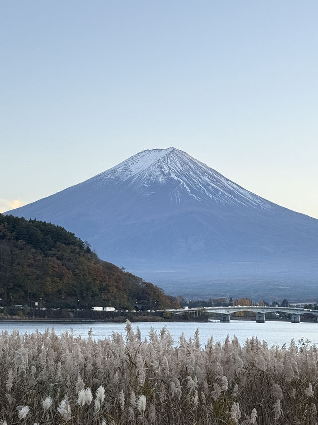 Quineville Fall Vibes & Fuji Views: Ultimate 3-Day Itinerary 🍁🌄