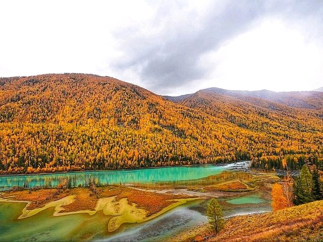 “Golden Forest of Kanas Lake” “Golden Forest of Kanas Lake”