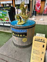 🇯🇵名古屋✈️江戶時代的輝煌與威嚴「名古屋城」