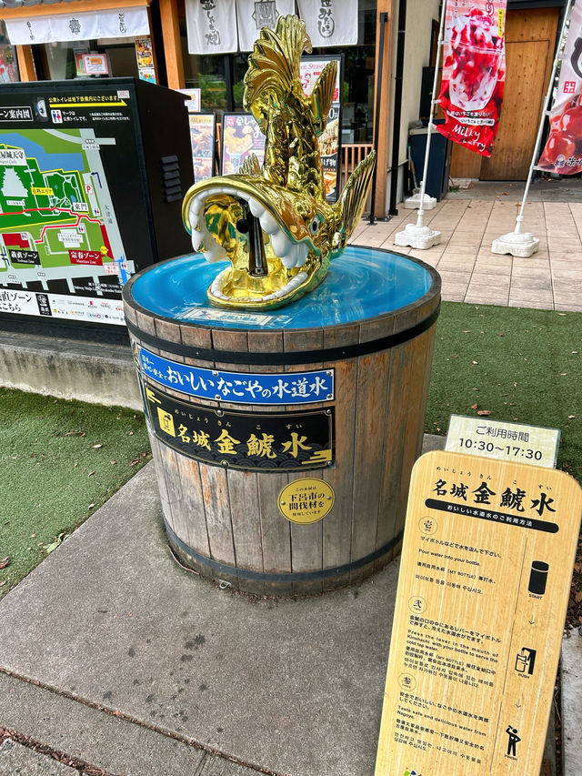 🇯🇵名古屋✈️江戶時代的輝煌與威嚴「名古屋城」 🇯🇵名古屋✈️江戶時代的輝煌與威嚴「名古屋城」