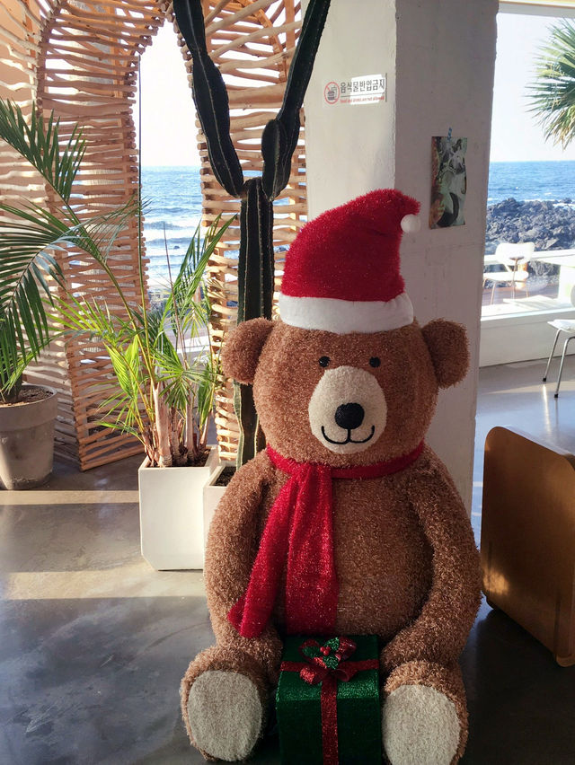 제주도 힐링 여행 이렇게 하세요🍀🩵