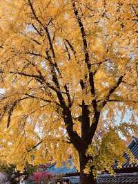 The Photogenic Heart of the Hanok Village