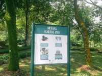 Soaring Above Nature: A Guide to Putrajaya Wetland Park’s Lookout Tower