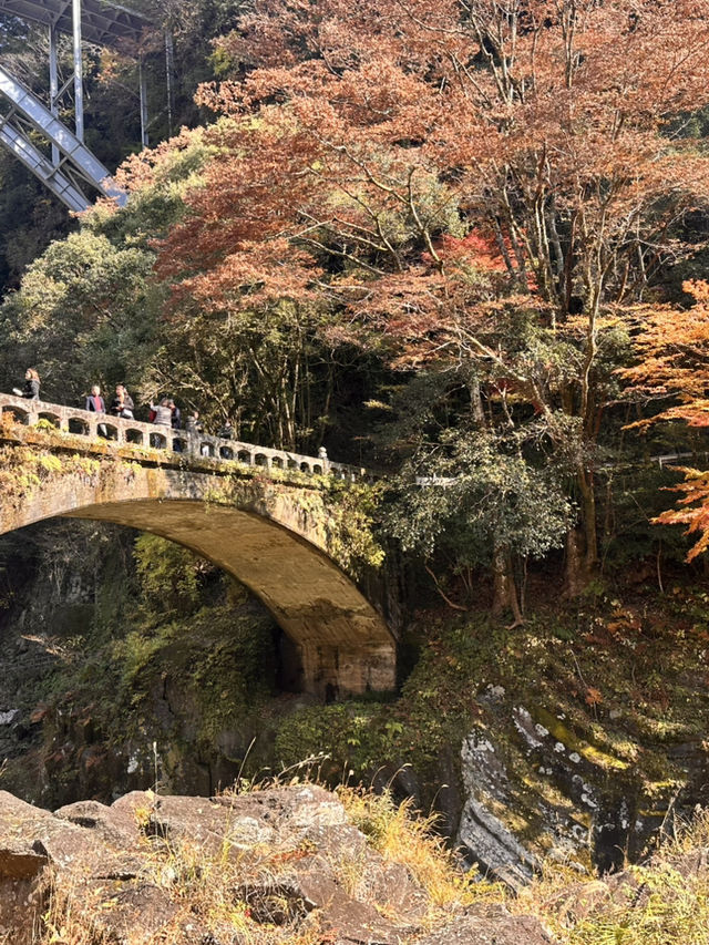 高千穗峽的🍁楓葉美到爆炸：一日遊看完我直接重刷人生