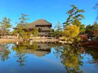 奈良東大寺秋日紅葉美景🍁