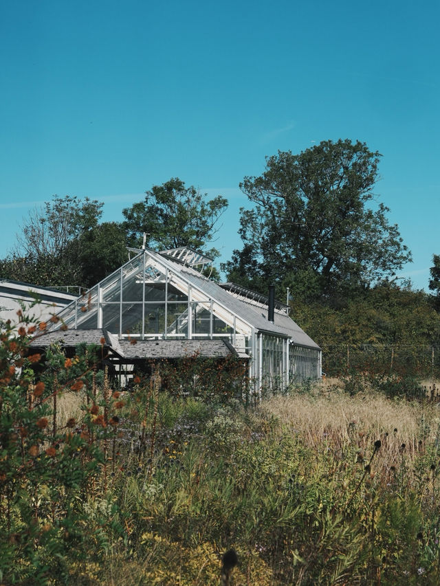 丹麥旅行 -  Noma 回來了 玻璃屋中的北歐味覺實驗室