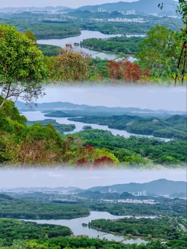 Interwoven Urban and Natural Dreamscape--Jiangangshan Park