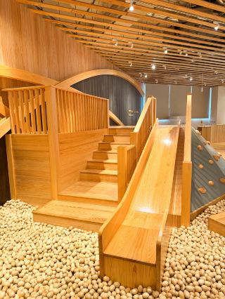 Shizuoka/Yaidzu Toy Museum