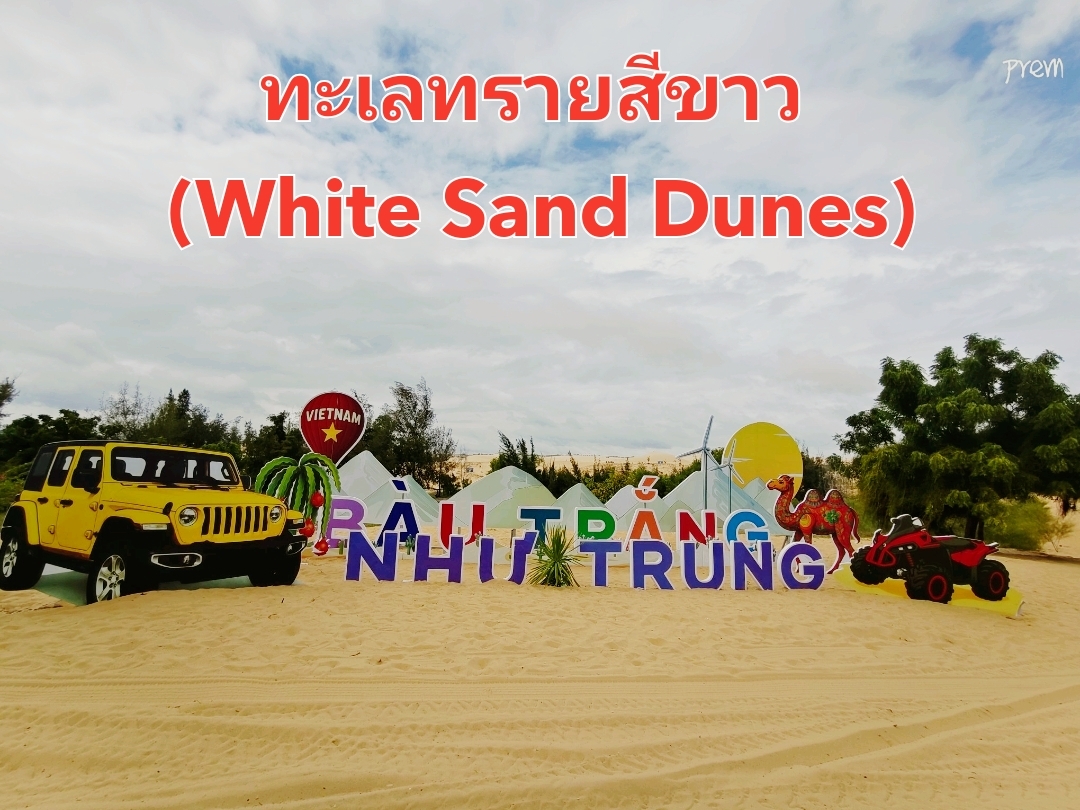 #NewYearGiftTrip Mui Ne Desert in Vietnam is formed from sand dunes blown and deposited along the coast by the wind. Its striking colors (red and white) are due to iron rust minerals giving it a red hue, while the fine white sand changes color depending on the sunlight, creating a beautiful landscape contrasting with the freshwater lakes, forming an oasis.
The White Sand Dunes are the most famous pristine white sand dunes in Mui Ne, Vietnam, nicknamed the "Sahara of Vietnam." It's a popular tourist destination where visitors can enjoy jeep and ATV rides on the dunes, sand sledding, or watch stunning sunrises and sunsets, while also experiencing Bao Trang Lake and its colorful lotus flowers.
It's located in Binh Thuan Province, north of Mui Ne, Vietnam.
Highlights and Activities
Sunrise/Sunset Viewing: Early morning or evening is the best time to photograph the changing colors of the sand dunes.
Jeep and ATV Rides: Take a jeep ride across the sand dunes or rent an ATV for added fun.
Sand Sledding: Slide down the sand dunes.