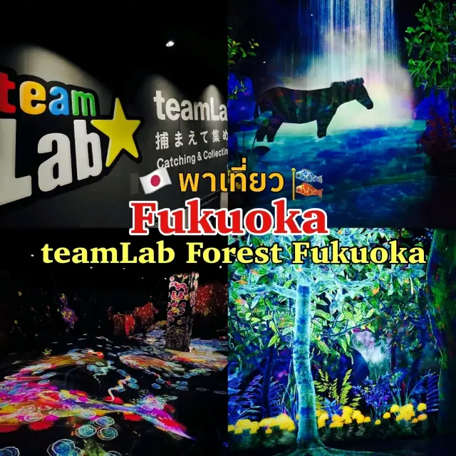 ลองแวะ teamLab Forest Fukuoka สักครั้ง!