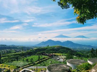 ซิลังกูร์ไฮแลนด์