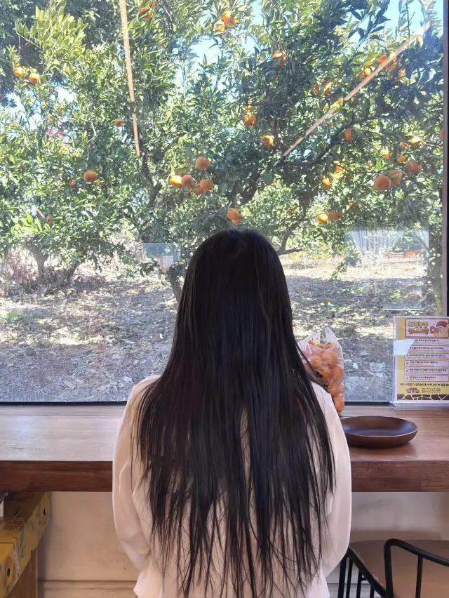 冬季濟州2晚3天行程分享