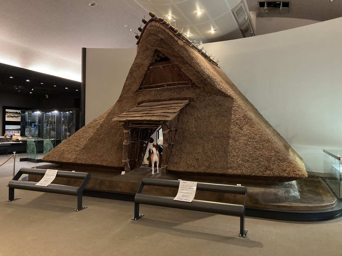 🇯🇵大阪時光機啟動！關西小眾秘境「大阪府立彌生文化博物館」 一秒