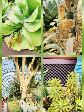 greenhouse collection