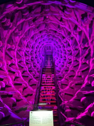 Overwhelming power and a retro-futuristic vibe! Step inside the
