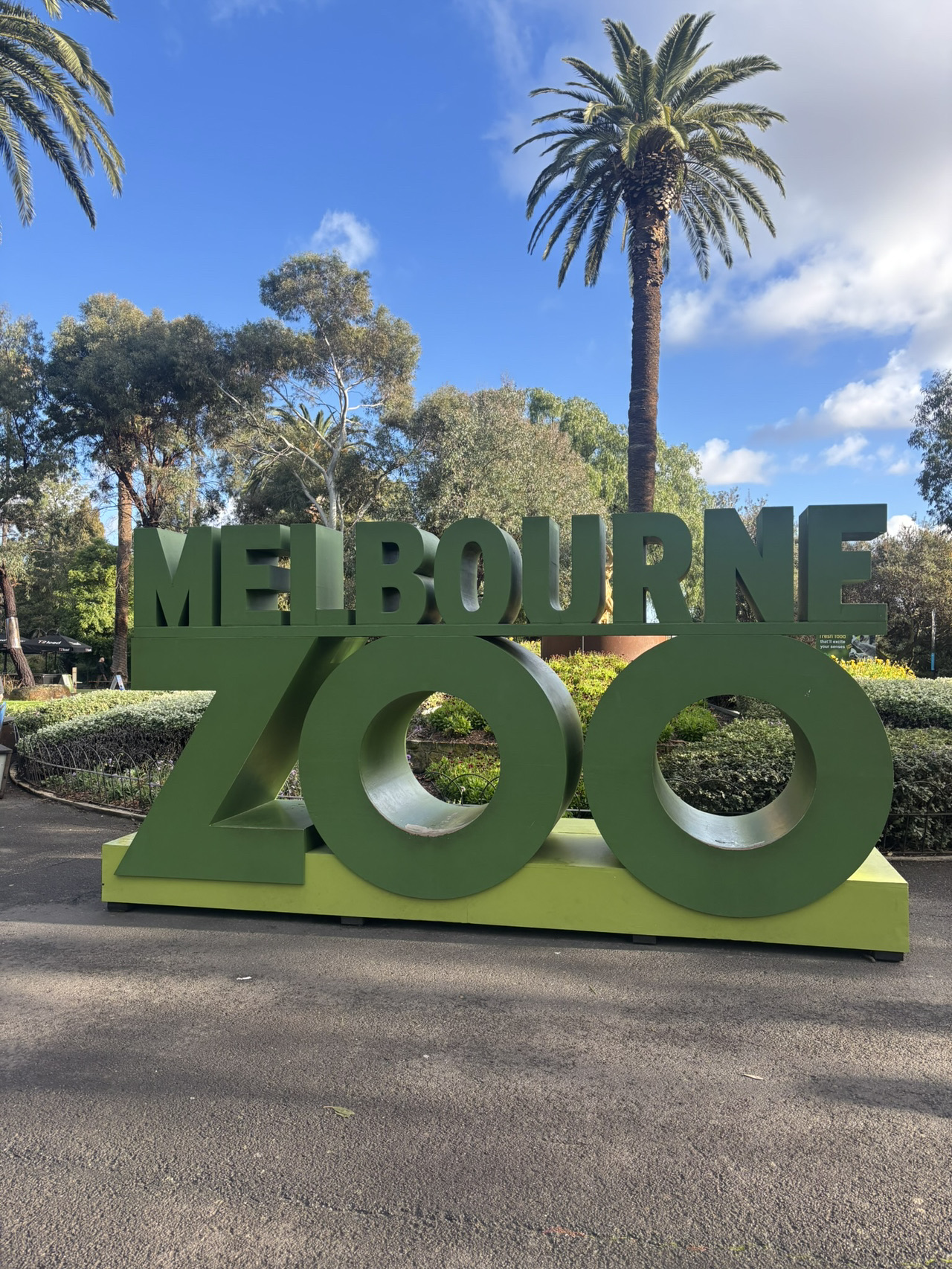 Melbourne Zoo Guide: Meet Koalas, Kangaroos & More Australian Animals 🐨🦘✨🇦🇺