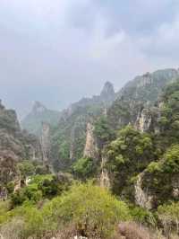🌲 Yunmeng Mountain Royal Forest Park | A Breath of Nature
