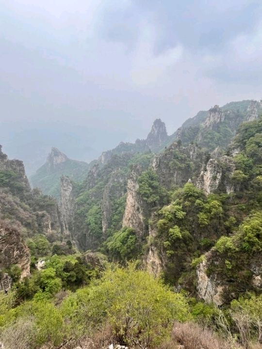 🌲 Yunmeng Mountain Royal Forest Park | A Breath of Nature
