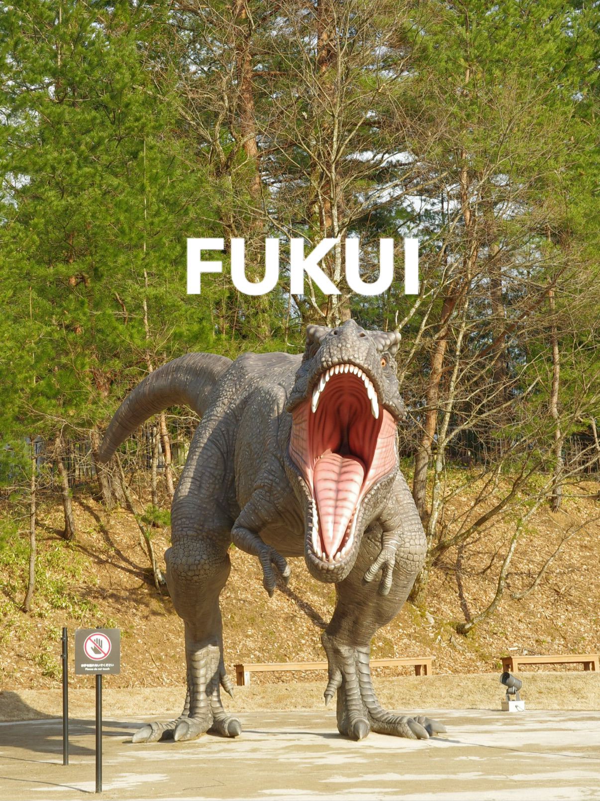 時間が足りなかった…！何度でも行きたい福井県立恐竜博物館🦖
