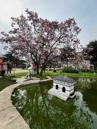 🌸🇹🇷ISTANBUL’S MAGNOLIA SECRET? SAVE THIS PLACE FOR SPRING