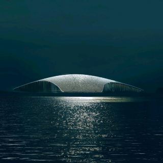 The Whale — Where Architecture and Arctic Nature Melt Together 🐋❄️