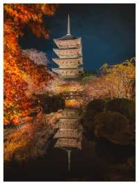Japan In Autumn Is A Different Kind Of Magic 🍁🇯🇵