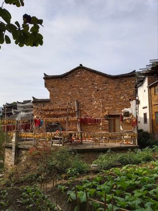 Winging It in Huangling: An Unexpected Little Adventure
