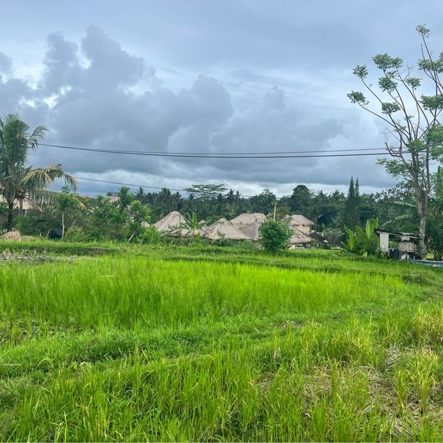 Unbelievable Ubud