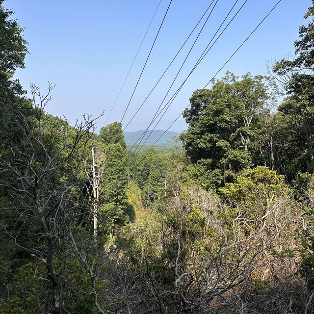 Hiking at Mary Rock Trial - Virginia 