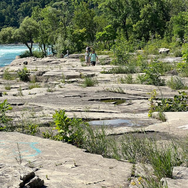 Buffalo: gorge hike