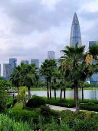 🏙️ 🌆 🌴 Shenzhen Bay Lights 🌴 🌆🏙️