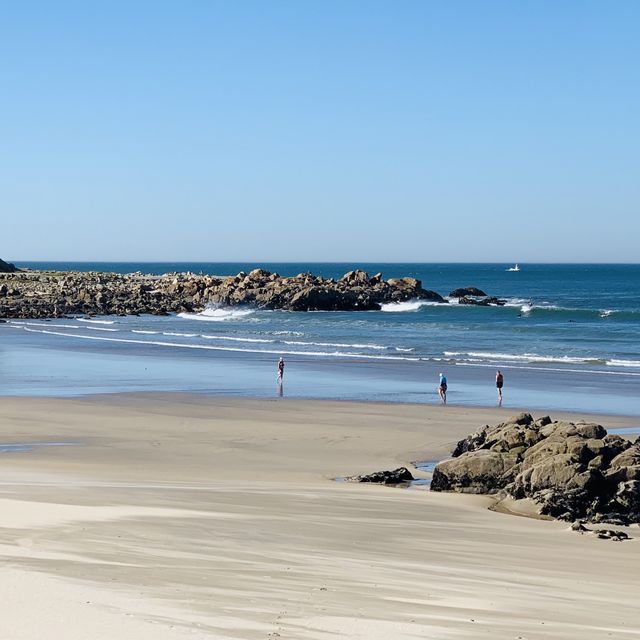 Beachside Bliss in Matosinhos