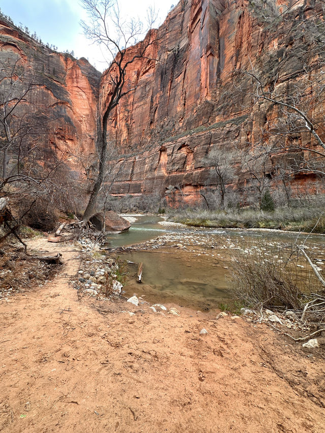 Zion, Landscapes you have to see to believe! 