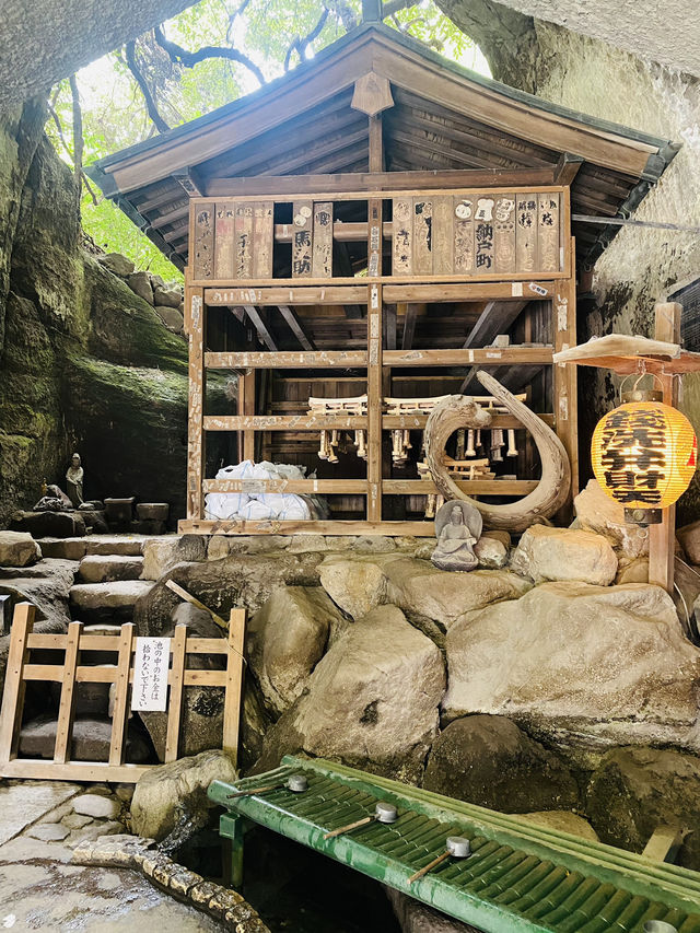 【鎌倉市🇯🇵 銭洗弁財天 宇賀福神社】お金を洗うとお金が増える？！金運・財運にご利益がある神社