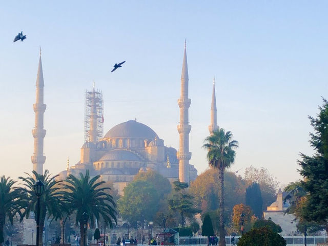 【トルコ】異国情緒あふれるイスタンブールを散策🇹🇷🧚