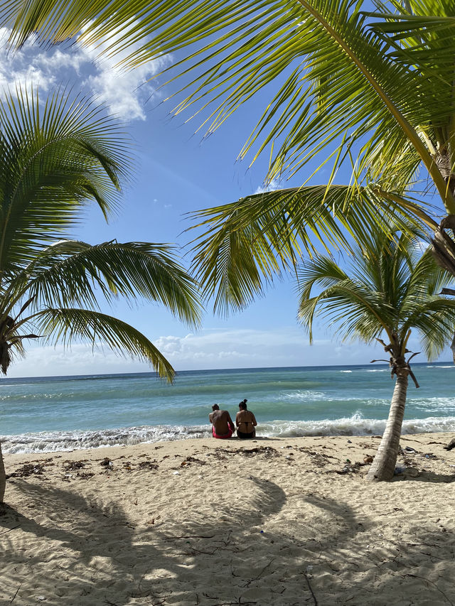 【ドミニカ】フアンドリオビーチでのんびり海水浴🏖️